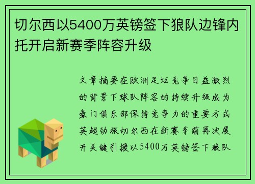 切尔西以5400万英镑签下狼队边锋内托开启新赛季阵容升级