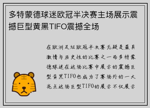 多特蒙德球迷欧冠半决赛主场展示震撼巨型黄黑TIFO震撼全场